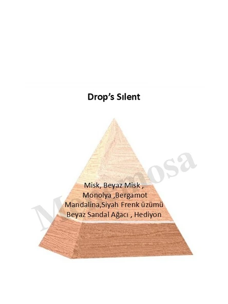 Niche Black Drops's Silent Unisex Extrait De Perfume 100 ml - Mnms100dps - Resim 2