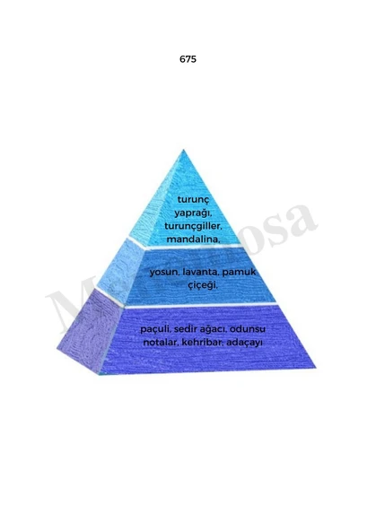 675 + 675 Erkek Parfüm Edp 50 ml Fresh - Mnms506752 - Resim 2