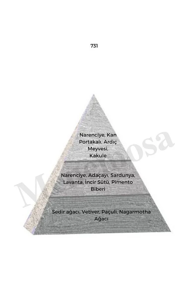 389 + 731 Kadın / Erkek Parfüm Edp 50 ml Floral / Woody - Mnms50389731 - Resim 3