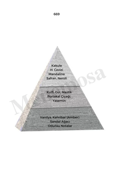 Avenue + No: 669 Erkek  Parfüm 50 ml edp Oriental / Woody  - Mnms50ave669 - Resim 3