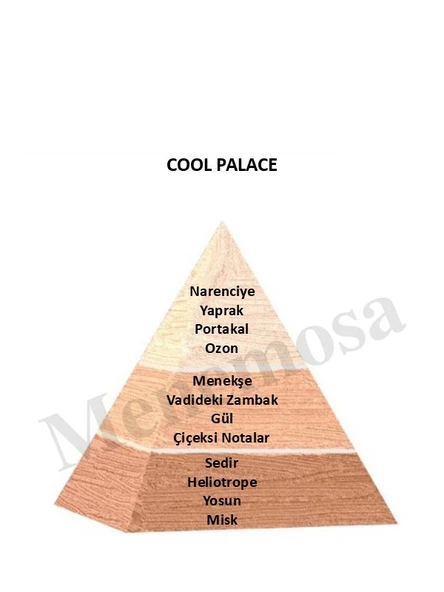 Bahar Çiçeği Dekoratif Oda Parfümü 120ml Cool Place - Bahar Çiçeği - 2