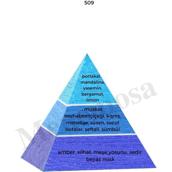 No: 528 + 509 Erkek Parfüm EDP 50 ml Fresh - Resim 3