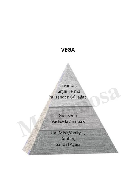 Vega Unisex Parfüm  Zenıth Edition 90 ml Woody - mnms90mlvega - Resim 2