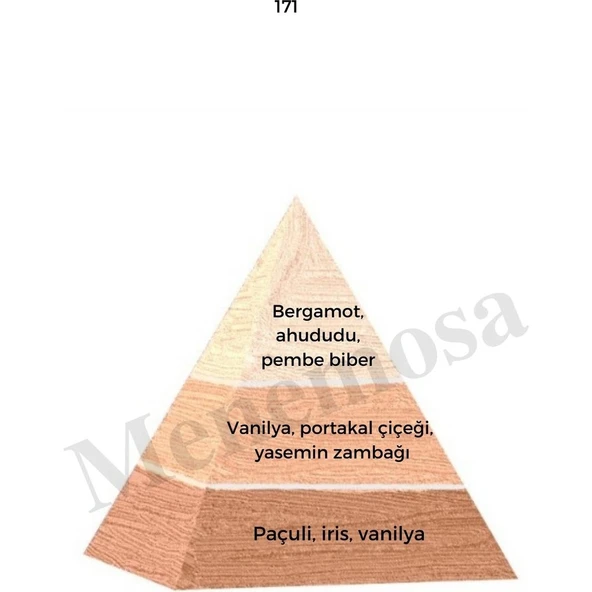 171 + No: 528 Kadın / Erkek Parfüm EDP 50 ml Floral / Fresh - Resim 2