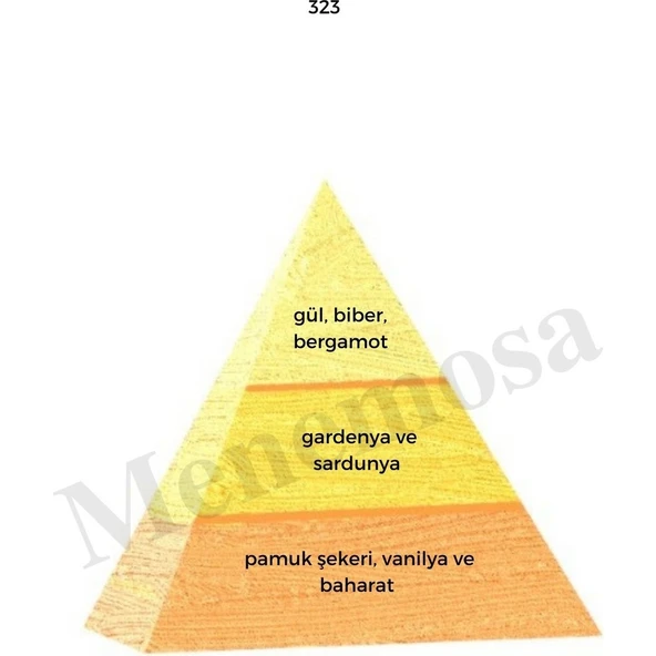 No: 528 + 323 Erkek / Kadın Parfüm EDP 50 ml Fresh / Oriental - Resim 3