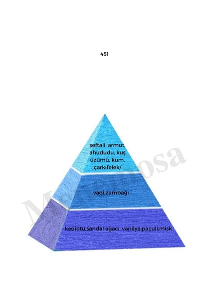 Avenue + No: 451 Erkek / Unisex Parfüm 50 ml edp Oriental / Fresh  - Mnms50ave451 - Resim 3