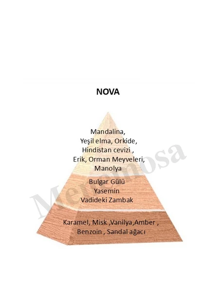 Nova Unisex Parfüm  Zenıth Edition 90 ml Floral - mnms90mlnova - Resim 2