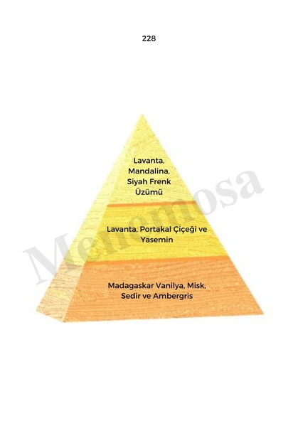 228 Kadın Parfüm Edp 50 ml + No:228 Kadın Deodorant 150 ml - Mnms228deo - Resim 2