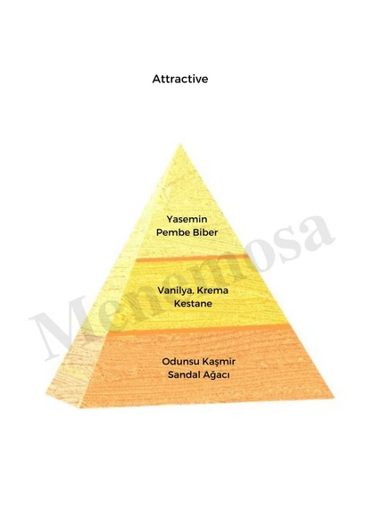 Attractive Kadın Parfüm + No: 122 Saç Parfüm Oriental - Mnms200att-s - Resim 2