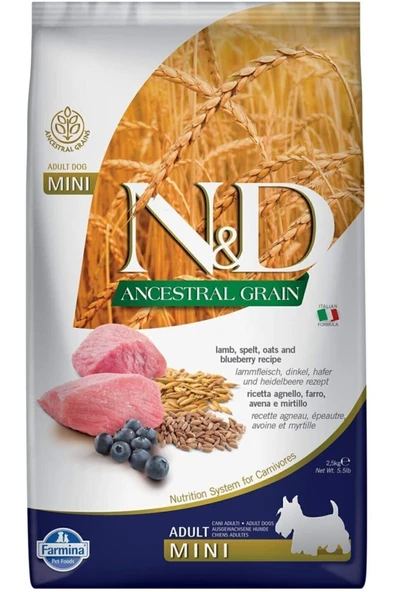 N&D Küçük Irk Kuzulu Açık Kuru Köpek Maması 1 Kg