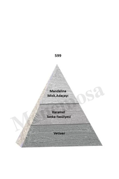 599 599 Erkek Parfüm Edp 50 ml Woody - Mnms505992 - Resim 2