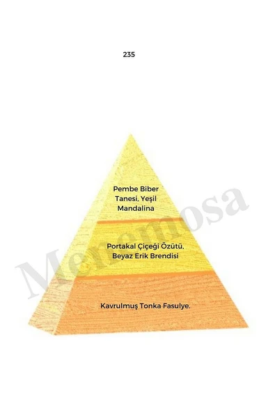 235 + 235 Kadın Parfüm Edp 50 Ml Oriental - mnms502352 - Resim 2