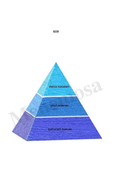 609 Erkek Parfüm Edp 50 ml Fresh - Mnms50609 - Resim 2