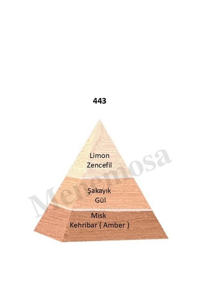 443 443 Kadın Parfüm Edp 50 ml Floral - Mnms504432 - Resim 2