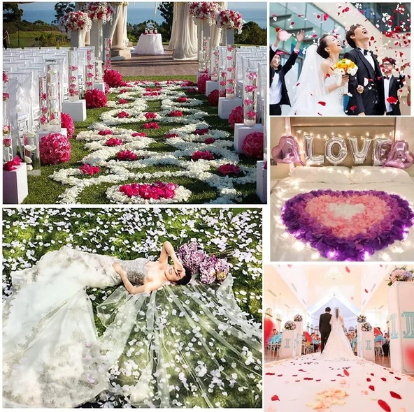 Periboia Beyaz Renk Gül Yaprağı - 1 Paket 100 Adet - 3