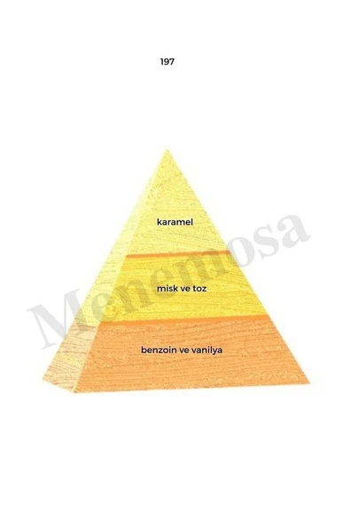 197 709 Kadın / Erkek Parfüm Edp 50 ml Oriental - Mnms50197709 - Resim 2