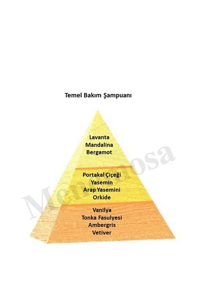 Temel Bakım Şampuanı Unisex - Mnms250şmpn - 2