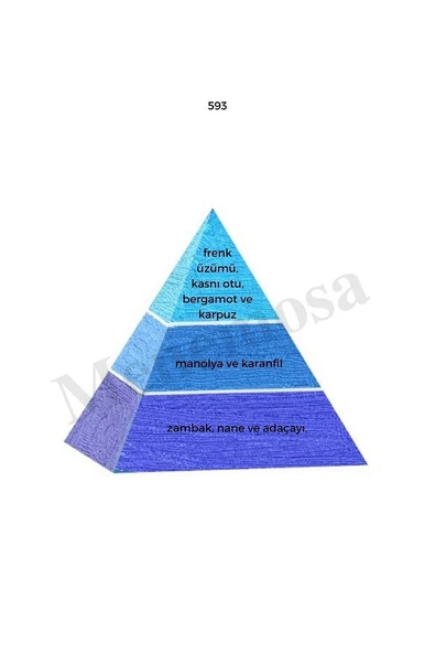 593 Ask6 Erkek / Erkek Parfüm Edp 50 ml Fresh / Fresh - Mnms593ask6 - Resim 2