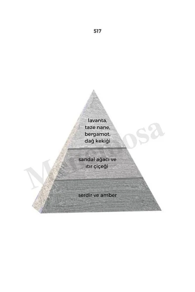 298 517 Unisex/erkek Parfüm Edp 50 ml Oriental/woody - Mnms50298517 - Resim 3