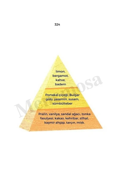 324 575 Kadın/erkek Parfüm Edp 50 ml Oriental/woody - Mnms50324575 - Resim 2