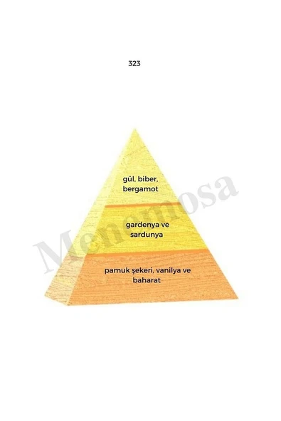 193 323 Unisex/kadın Parfüm Edp 50 ml Oriental - Mnms50193323 - Resim 3