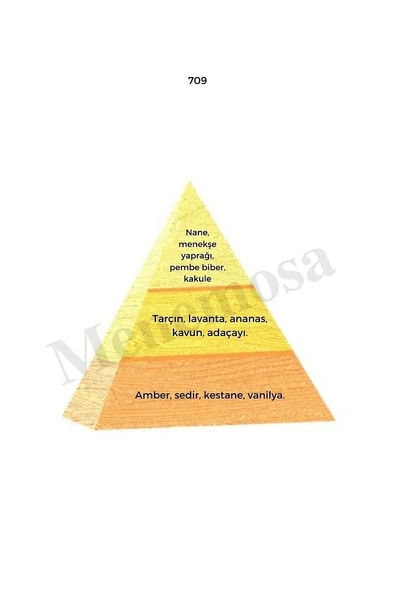 685 709 Erkek Parfüm Edp 50 ml Fresh/oriental - Mnms50685709 - Resim 3