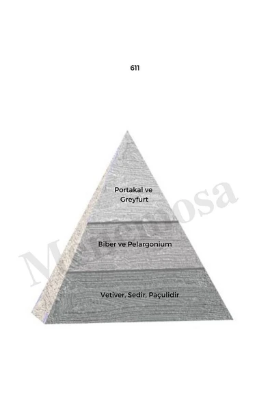611 611 Erkek Parfüm Edp 50 ml Woody - Mnms506112 - Resim 2