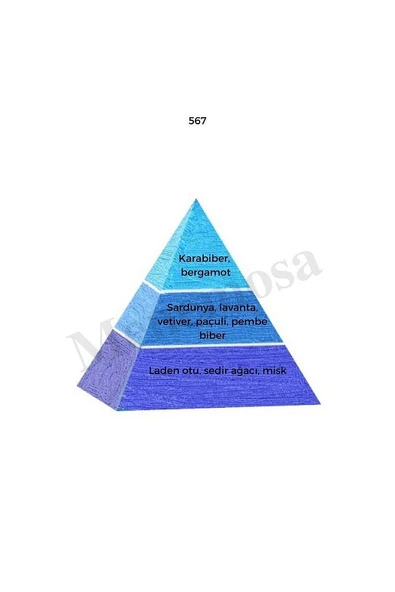 567 567 Erkek Parfüm Edp 50 ml Fresh - Mnms505672 - Resim 2