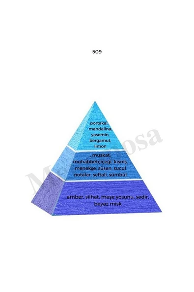 509 509 Erkek / Erkek Parfüm Edp 50 ml Fresh / Fresh - Mnms505092 - Resim 2