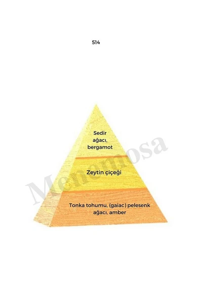 324 514 Kadın/erkek Parfüm Edp 50 ml Oriental - Mnms50324514 - Resim 3