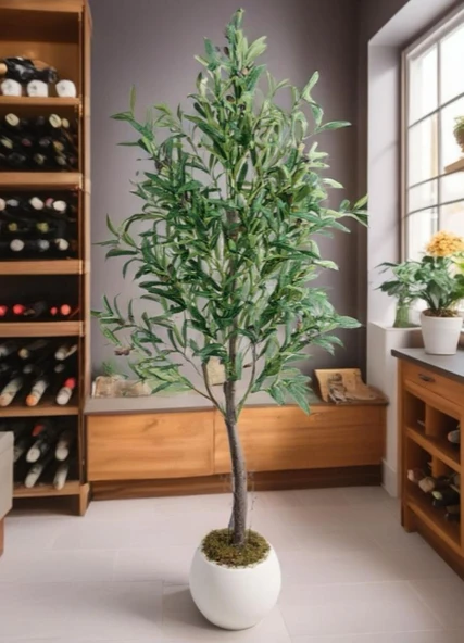Yapay Zeytin Ağacı 160cm İki Gövdeli Beyaz Küre Saksıda Salex Doğal Gerçek Görünümlü Yapay Ağaç - Resim 5