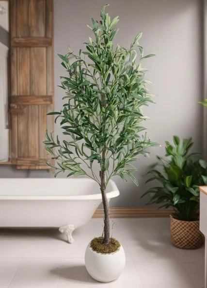 Yapay Zeytin Ağacı 160cm İki Gövdeli Beyaz Küre Saksıda Salex Doğal Gerçek Görünümlü Yapay Ağaç - Resim 6