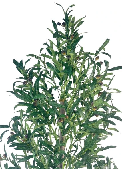 Yapay Zeytin Ağacı 160cm İki Gövdeli Beyaz Küre Saksıda Salex Doğal Gerçek Görünümlü Yapay Ağaç - Resim 7