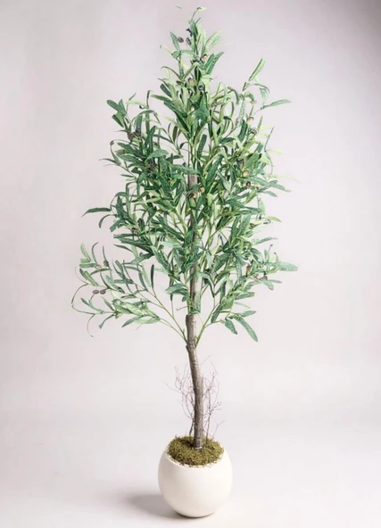 Yapay Zeytin Ağacı 160cm İki Gövdeli Beyaz Küre Saksıda Salex Doğal Gerçek Görünümlü Yapay Ağaç ürün görseli