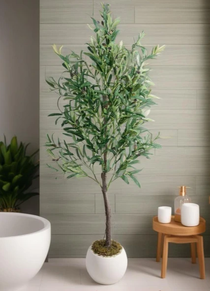Yapay Zeytin Ağacı 160cm İki Gövdeli Beyaz Küre Saksıda Salex Doğal Gerçek Görünümlü Yapay Ağaç - Resim 4