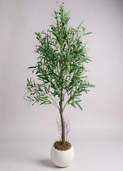 Yapay Zeytin Ağacı 160cm İki Gövdeli Beyaz Küre Saksıda Salex Doğal Gerçek Görünümlü Yapay Ağaç - Resim 8
