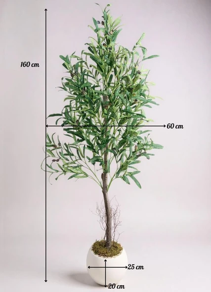 Yapay Zeytin Ağacı 160cm İki Gövdeli Beyaz Küre Saksıda Salex Doğal Gerçek Görünümlü Yapay Ağaç - Resim 2