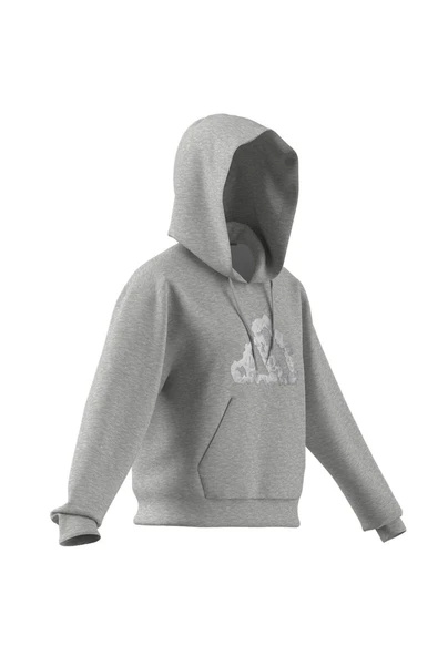 adidas Kadın  Gri  Sweatshirt W CO RUFF HD JX1326 - Resim 10
