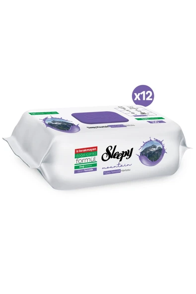 Sleepy Mountain Dağ Esintisi 12x100 (1200 Yaprak) Yüzey Temizlik Havlusu - Resim 2
