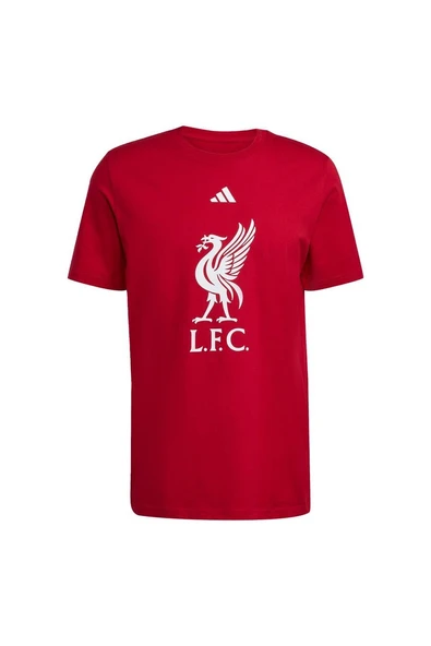 adidas Erkek  Kırmızı  T-shirt LFC DNA GR TEE JW7894 ürün görseli 1
