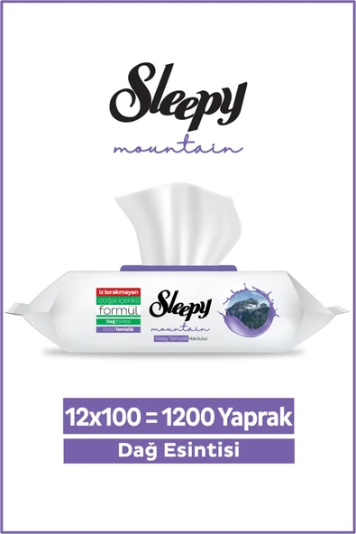 Sleepy Mountain Dağ Esintisi 12x100 (1200 Yaprak) Yüzey Temizlik Havlusu ürün görseli