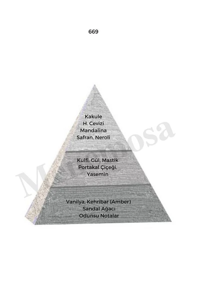 No: 451 + No:669 Unisex Parfüm Edp 50 ml Fresh / Woody - Mnms50no451669 - Resim 3