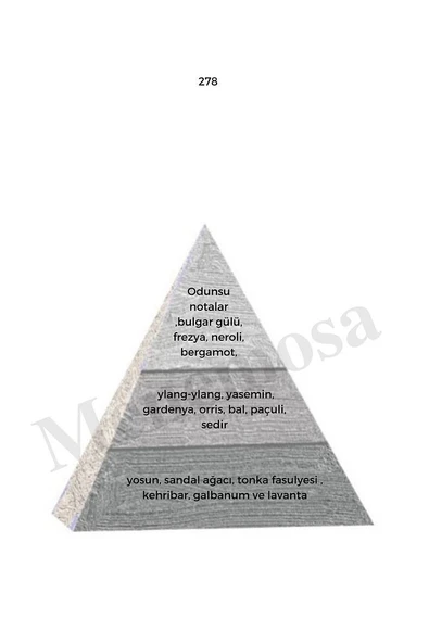 278 Unisex Parfüm Edp 50 ml Woody mnms50278 - Resim 2