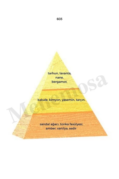 603 Erkek Parfüm Edp 50 ml Oriental mnms50603 - Resim 2