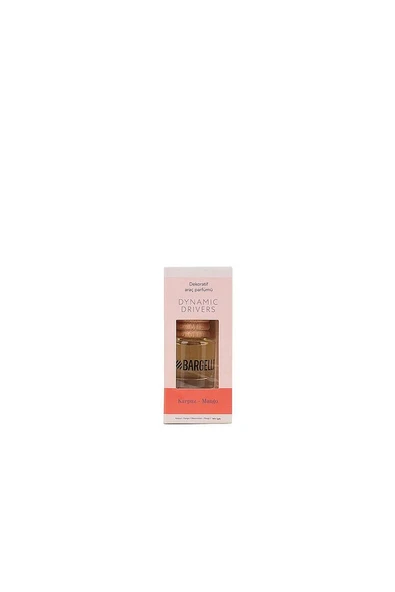 Karpuz-mango Araç Parfümü 8 Ml Dynamik Place - 2