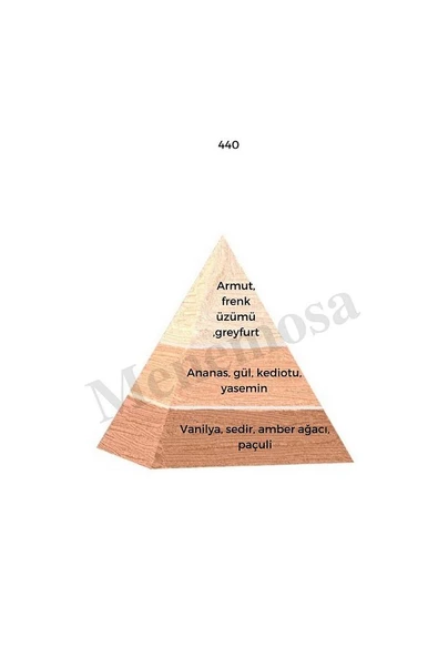 No:451 + 440 Unisex / Kadın Parfüm Edp 50 ml Fresh / Floral - Mnms50no451440 - Resim 3