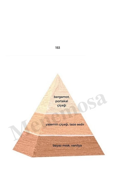 No:451 + 153 Unisex / Kadın Parfüm Edp 50 ml Fresh / Floral - Mnms50no451153 - Resim 3