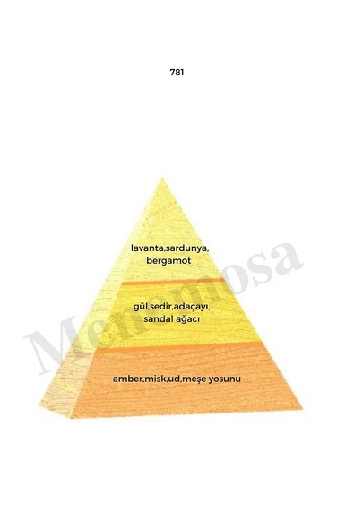 781 Erkek Parfüm Edp 50 ml Oriental - Mnms50781 - Resim 2