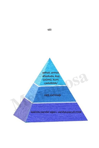 No:451 + 272 Unisex / Kadın Parfüm Edp 50 ml Fresh / Floral - Mnms50no451272 - Resim 2