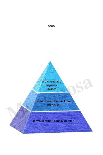 1000 Erkek Parfüm Edp 50 ml Fresh - Mnms501000 - Resim 2